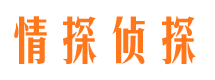 咸宁市侦探调查公司